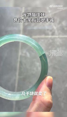 貓咪摔壞12萬翡翠手鐲被連夜送走 老板：挺無奈的