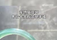 貓咪摔壞12萬翡翠手鐲被連夜送走 老板：挺無奈的
