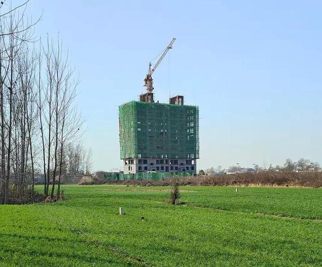 麥田“長出”十層高樓 當地避而不談