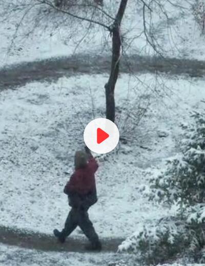 阿姨常年練功地被磨出印記 網友評論：這棵樹的壓力好大