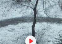 阿姨常年練功地被磨出印記 網友評論：這棵樹的壓力好大