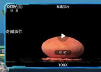 高清鏡頭看布洛芬釋放過程 哪種布洛芬起效更快?