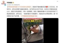男孩用全套奧特曼卡為媽媽換退燒藥 媽媽非常感動