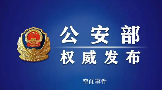 公安部:嚴(yán)厲打擊敵對(duì)勢(shì)力滲透破壞