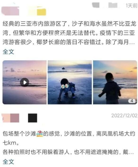 三亞談陽康涌入:可以正常來