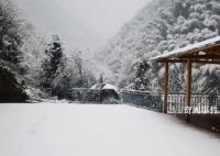 浙江多地下雪 2023年第一股冷空氣已經在路上了