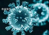 防控措施調(diào)整 今年春節(jié)如何返鄉(xiāng)?