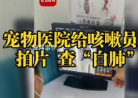 老板回應寵物醫院給人拍片查白肺 員工自查不作為診斷依據