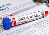 XBB.1.5到底有多厲害?專家解讀