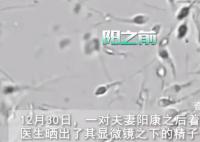 夫妻陽康后著急備孕遭勸阻 網友表示：等一段時間再說