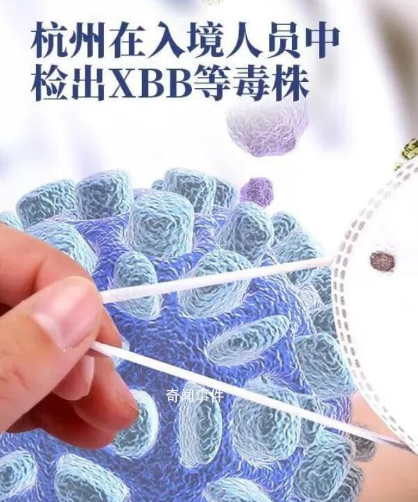 杭州入境人員中發現XBB毒株 XBB和BQ.1會造成二次感染嗎?