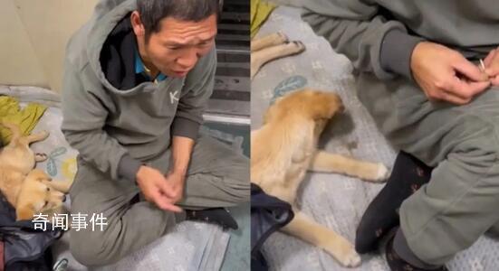 男子帶小狗回家過年在火車上打地鋪 害怕打擾到其他乘客