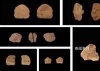 山東發現距今1.32萬年人類遺址 出土1000余件早期人類遺物