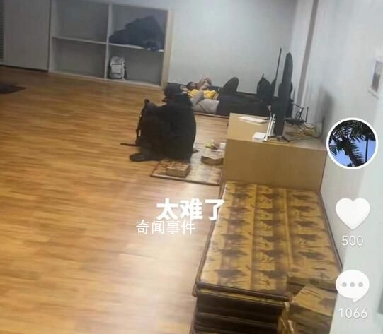 入境韓國被關(guān)小黑屋?親歷游客講述