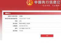 劉鑫被強制執行近72萬 目前通過審核已經立案