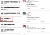 12306出現故障 客服回應