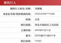 劉鑫已成被執行人 目前通過審核已經立案