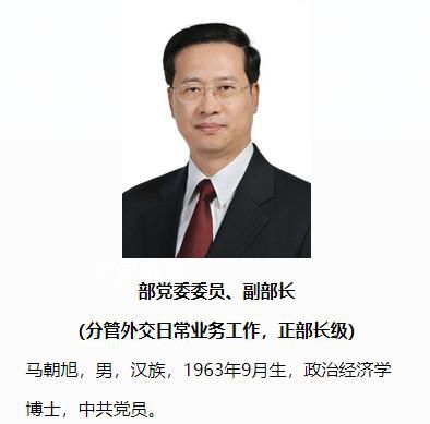 馬朝旭晉升正部級 馬朝旭個人資料介紹