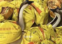 公司發(fā)大鵝當(dāng)年貨 員工:放公司很吵
