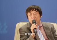 胡錫進:向非公企業派駐書記需審慎
