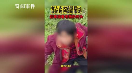 老人多次偷豌豆尖被抓現(xiàn)行躺地撒潑 村書記：會做好村民的思想工作
