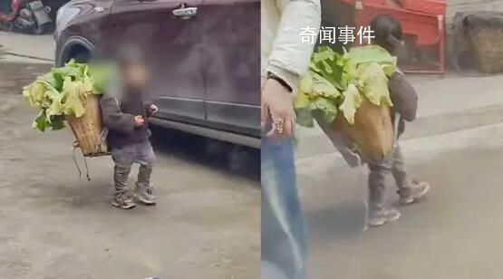 律師稱拍女孩背豬草者侵犯肖像權 可要求刪除視頻并道歉