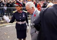 男子向英國國王丟雞蛋被罰款 被判罰款100英鎊和承擔其他費用