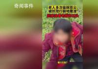老人多次偷豌豆尖被抓現行躺地撒潑 村書記：會做好村民的思想工作