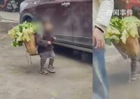 律師稱拍女孩背豬草者侵犯肖像權 可要求刪除視頻并道歉
