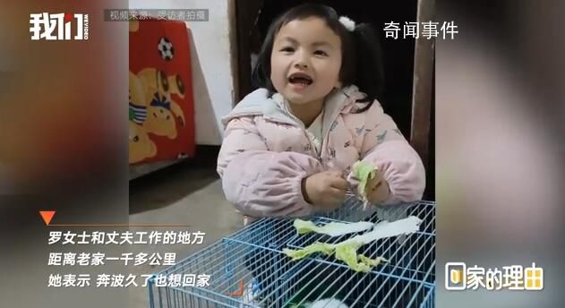 夫妻瞞女兒回家過年 被孩子緊緊抱住