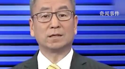白巖松評鞭炮禁與放:是盼望年味回歸