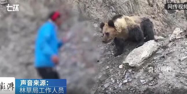 林草局回應村民投喂野生棕熊 視頻并非近期拍攝不鼓勵投喂