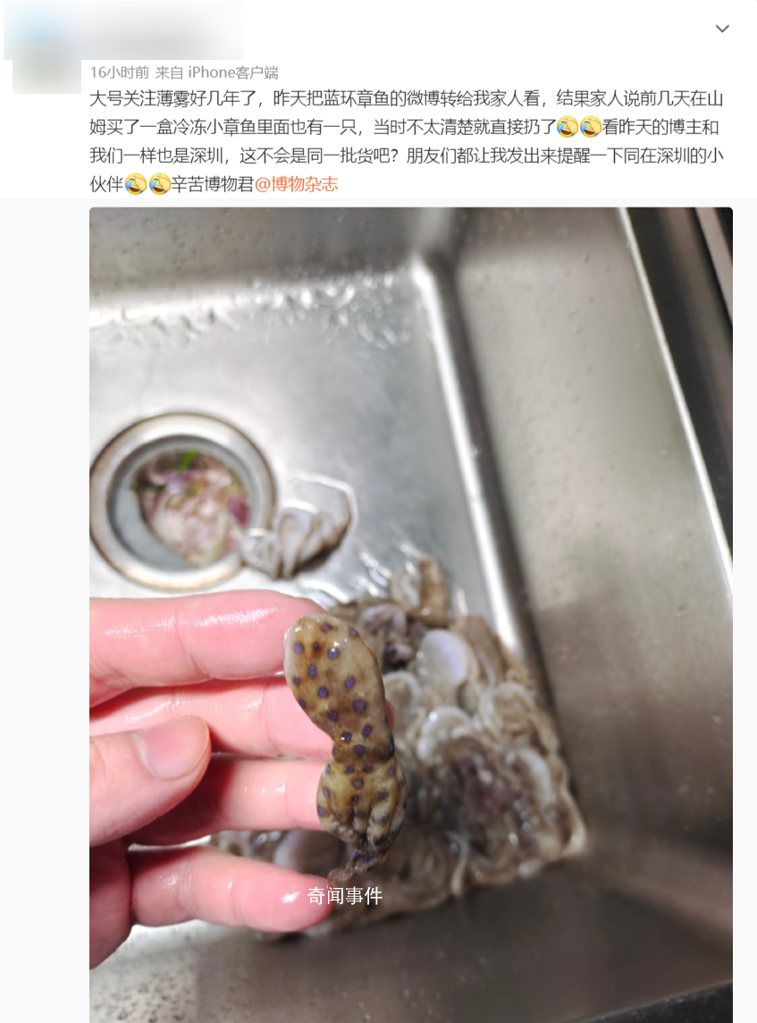 深圳一網(wǎng)友稱在山姆買到藍(lán)環(huán)章魚 專家：目前無解毒藥物