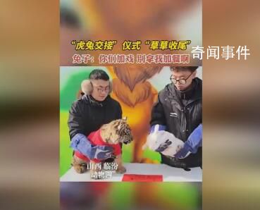 動物園辦虎兔交接 兔子險(xiǎn)成年夜飯