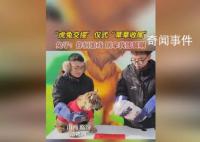 動(dòng)物園辦虎兔交接 兔子險(xiǎn)成年夜飯
