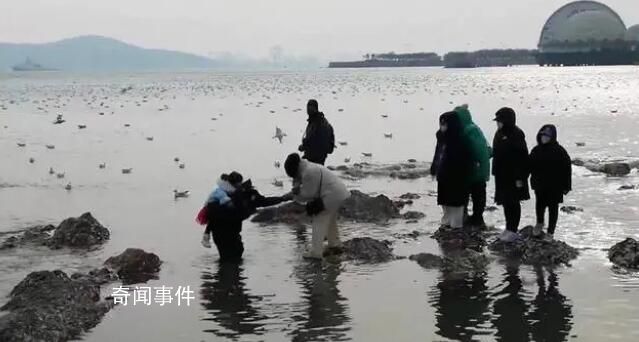 志愿者趴海水中讓8游客踩背通過 這一幕太暖心