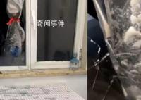 男子家深夜被飛魚破窗而入砸碎玻璃 網(wǎng)友：歲歲平安年年有余