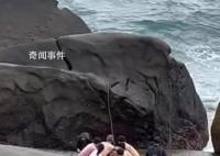 父子卷入海浪游客脫衣擰繩救援 男孩母親當即跪謝眾人