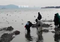 救援隊長趴海水中讓8游客踩背通過 實在是令人暖心