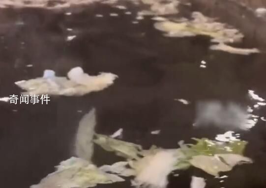 酒店推火鍋浴:溫泉池漂滿白菜茄子