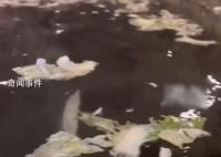 酒店推火鍋浴:溫泉池漂滿白菜茄子