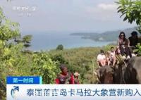 泰國普吉島為迎接中國游客采購大象 新購入了6頭大象