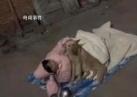 女生過年拒相親被趕出門和狗睡 引發(fā)熱議來看看怎么回事吧