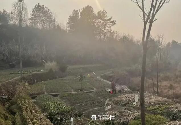 山中抱團養老十年:曾是同事兼獵友