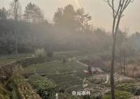 山中抱團養(yǎng)老十年:曾是同事兼獵友
