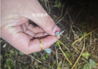 萬元戒指被親戚家孩子扔進(jìn)農(nóng)田 民警花了4小時(shí)凌晨2點(diǎn)終于找到