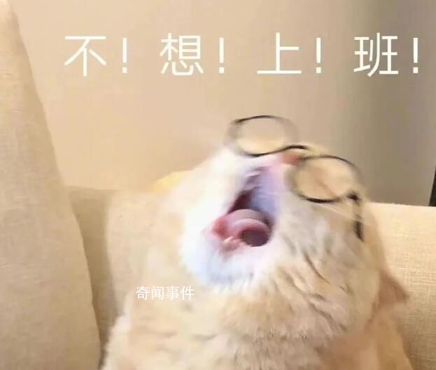 開始7天渡劫 大年初七開工大吉