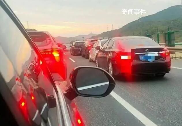 堵車(chē)男子在高速上與公雞打架 網(wǎng)友：有人被年貨打了
