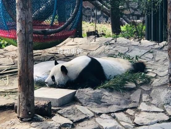 今天怎么才是周一 大家有節后綜合癥嗎？