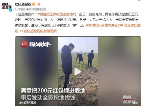 男孩把壓歲錢埋進麥地 全家總動員結果一頓好找
